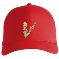 Flexfit Delta cap (180) Vignette
