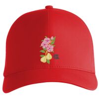 Flexfit Delta cap (180) Vignette