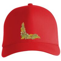 Flexfit Delta cap (180) Vignette