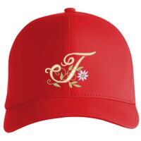 Flexfit Delta cap (180) Vignette