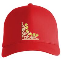 Flexfit Delta cap (180) Vignette