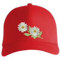 Flexfit Delta cap (180) Vignette