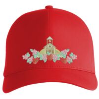 Flexfit Delta cap (180) Vignette