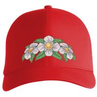 Flexfit Delta cap (180) Vignette