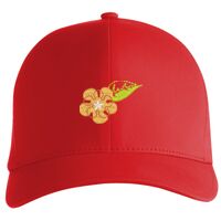 Flexfit Delta cap (180) Vignette