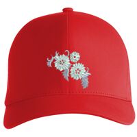 Flexfit Delta cap (180) Vignette