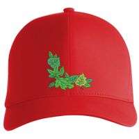 Flexfit Delta cap (180) Vignette