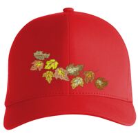 Flexfit Delta cap (180) Vignette