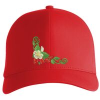 Flexfit Delta cap (180) Vignette