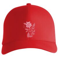 Flexfit Delta cap (180) Vignette
