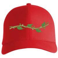 Flexfit Delta cap (180) Vignette