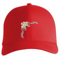 Flexfit Delta cap (180) Vignette