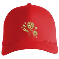 Flexfit Delta cap (180) Vignette