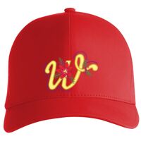 Flexfit Delta cap (180) Vignette