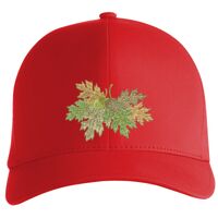 Flexfit Delta cap (180) Vignette