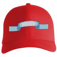 Flexfit Delta cap (180) Vignette