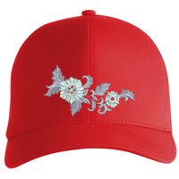 Flexfit Delta cap (180) Vignette