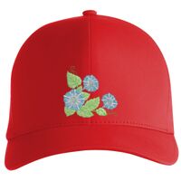 Flexfit Delta cap (180) Vignette