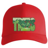 Flexfit Delta cap (180) Vignette