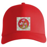 Flexfit Delta cap (180) Vignette