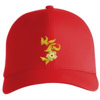 Flexfit Delta cap (180) Vignette