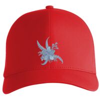 Flexfit Delta cap (180) Vignette