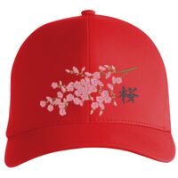 Flexfit Delta cap (180) Vignette