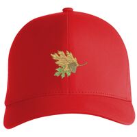 Flexfit Delta cap (180) Vignette