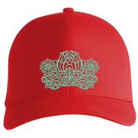 Flexfit Delta cap (180) Vignette