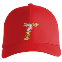 Flexfit Delta cap (180) Vignette