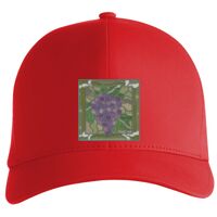 Flexfit Delta cap (180) Vignette
