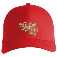 Flexfit Delta cap (180) Vignette