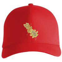 Flexfit Delta cap (180) Vignette