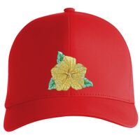 Flexfit Delta cap (180) Vignette