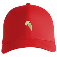 Flexfit Delta cap (180) Vignette