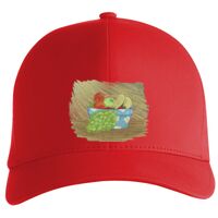 Flexfit Delta cap (180) Vignette