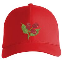 Flexfit Delta cap (180) Vignette
