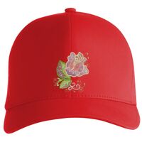 Flexfit Delta cap (180) Vignette