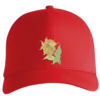 Flexfit Delta cap (180) Vignette