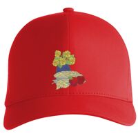 Flexfit Delta cap (180) Vignette