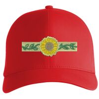 Flexfit Delta cap (180) Vignette