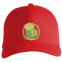 Flexfit Delta cap (180) Vignette