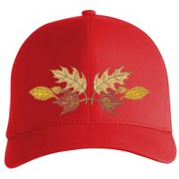 Flexfit Delta cap (180) Vignette