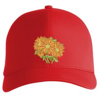 Flexfit Delta cap (180) Vignette