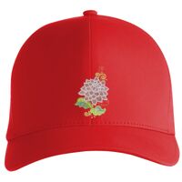 Flexfit Delta cap (180) Vignette