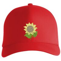 Flexfit Delta cap (180) Vignette