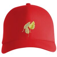 Flexfit Delta cap (180) Vignette