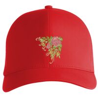Flexfit Delta cap (180) Vignette