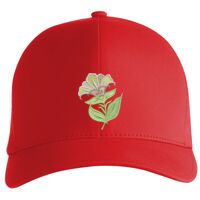 Flexfit Delta cap (180) Vignette