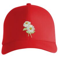 Flexfit Delta cap (180) Vignette